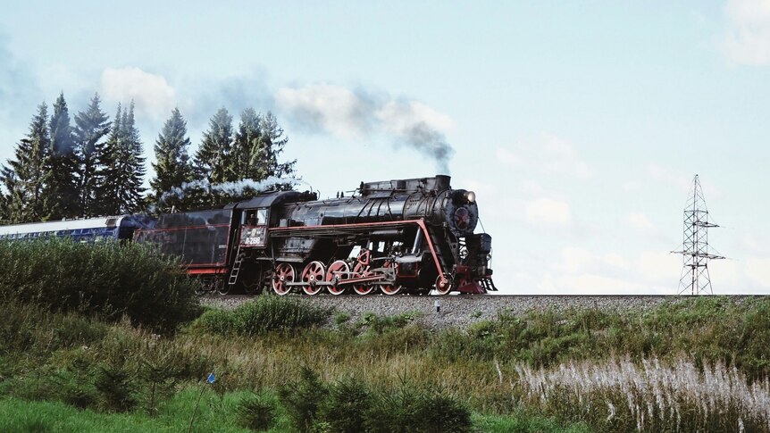 A black steam train going through a green countryside