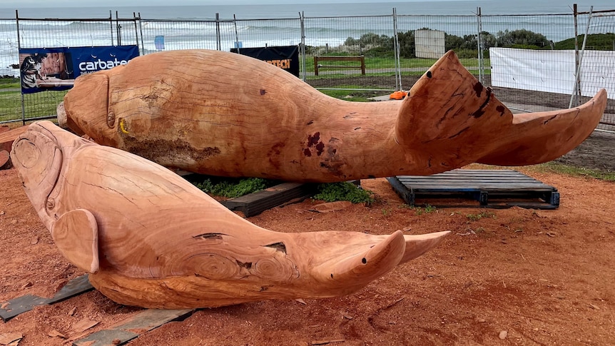 Two red gum whales inside a construction fence next to a beach.
