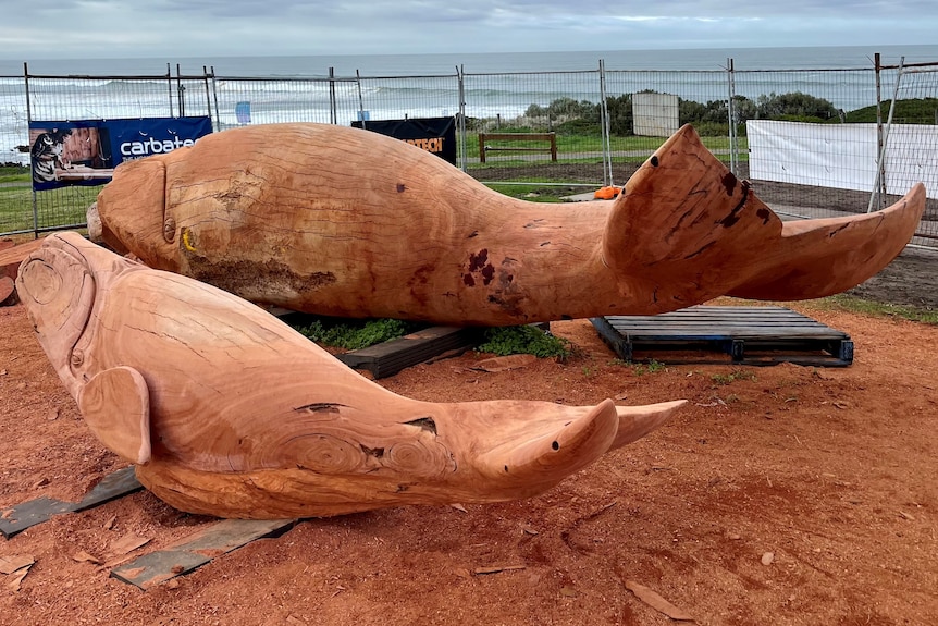 Two red gum whales inside a construction fence next to a beach