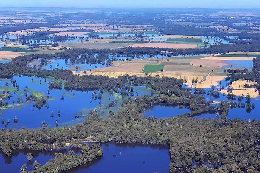 Aerial picture of land with floodwaters on paddocks
