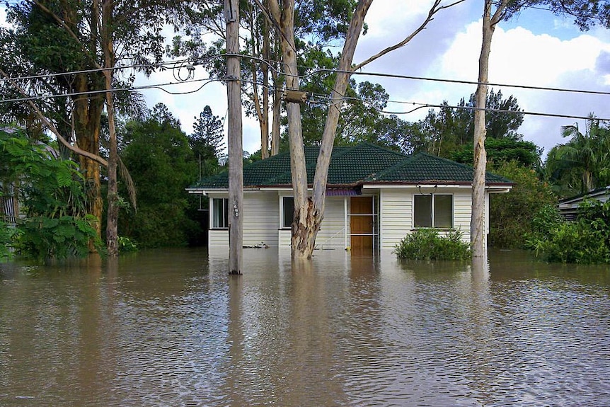 Bronwyn Powell's flooded Fairfield house, January 2011.