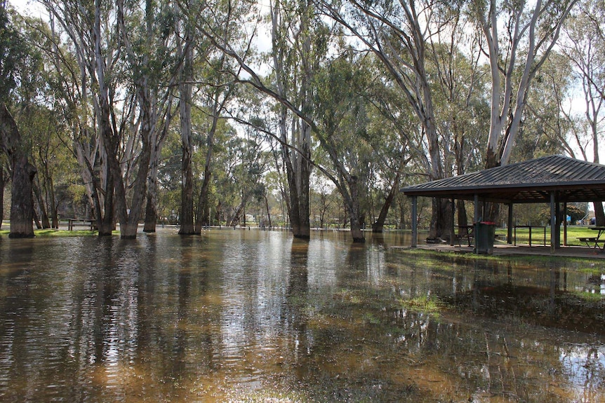 Receding floodwaters in a park in north east Victoria