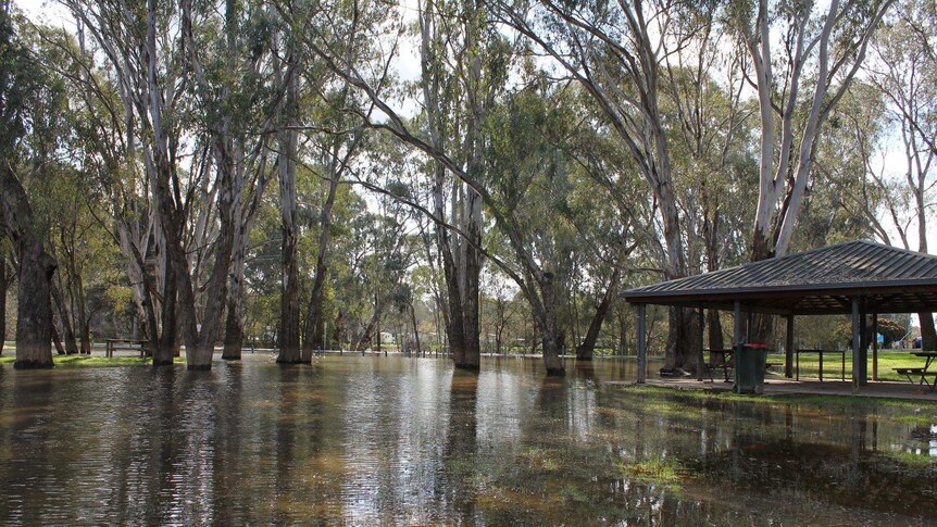 Receding floodwaters in a park in north east Victoria