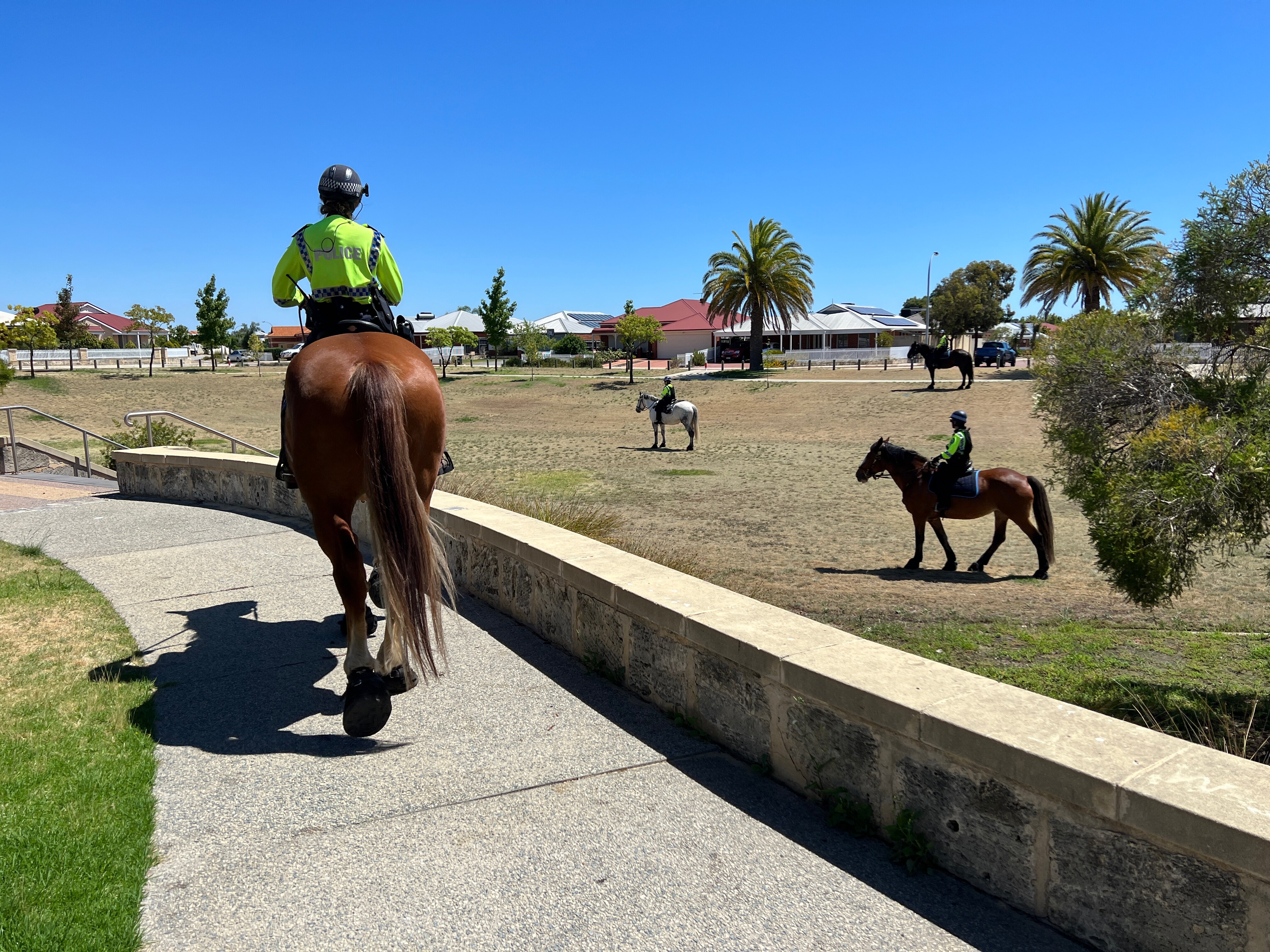 Mounted police search a park in a suburban part of Perth.
