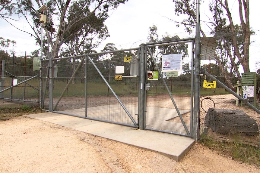 A large silver fence surrounds a nature reserve with large trees 