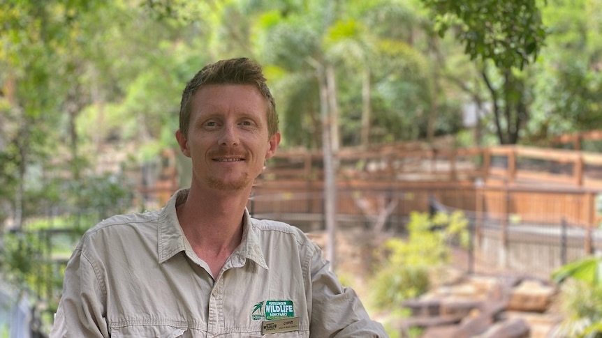Reptile handler Chris Halliwell leans against a fence - behind him is the pond, where the 700kg crocodile Boss Hog lives