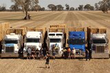 People standing in front of trucks loaded with hay
