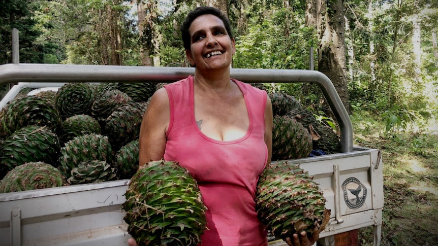 A woman holds two large bunya cones in front of a ute with more cones