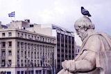 A pigeon sits on top of a statue of Plato in modern day Athens.