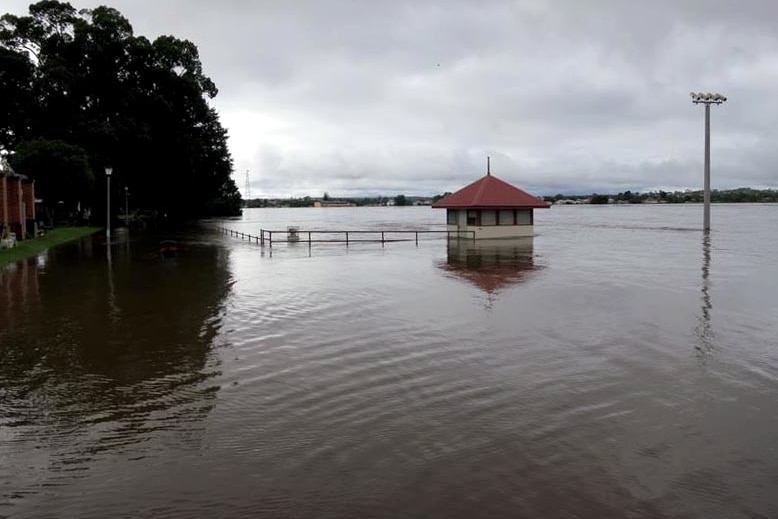 The Clarence River floods in Grafton.