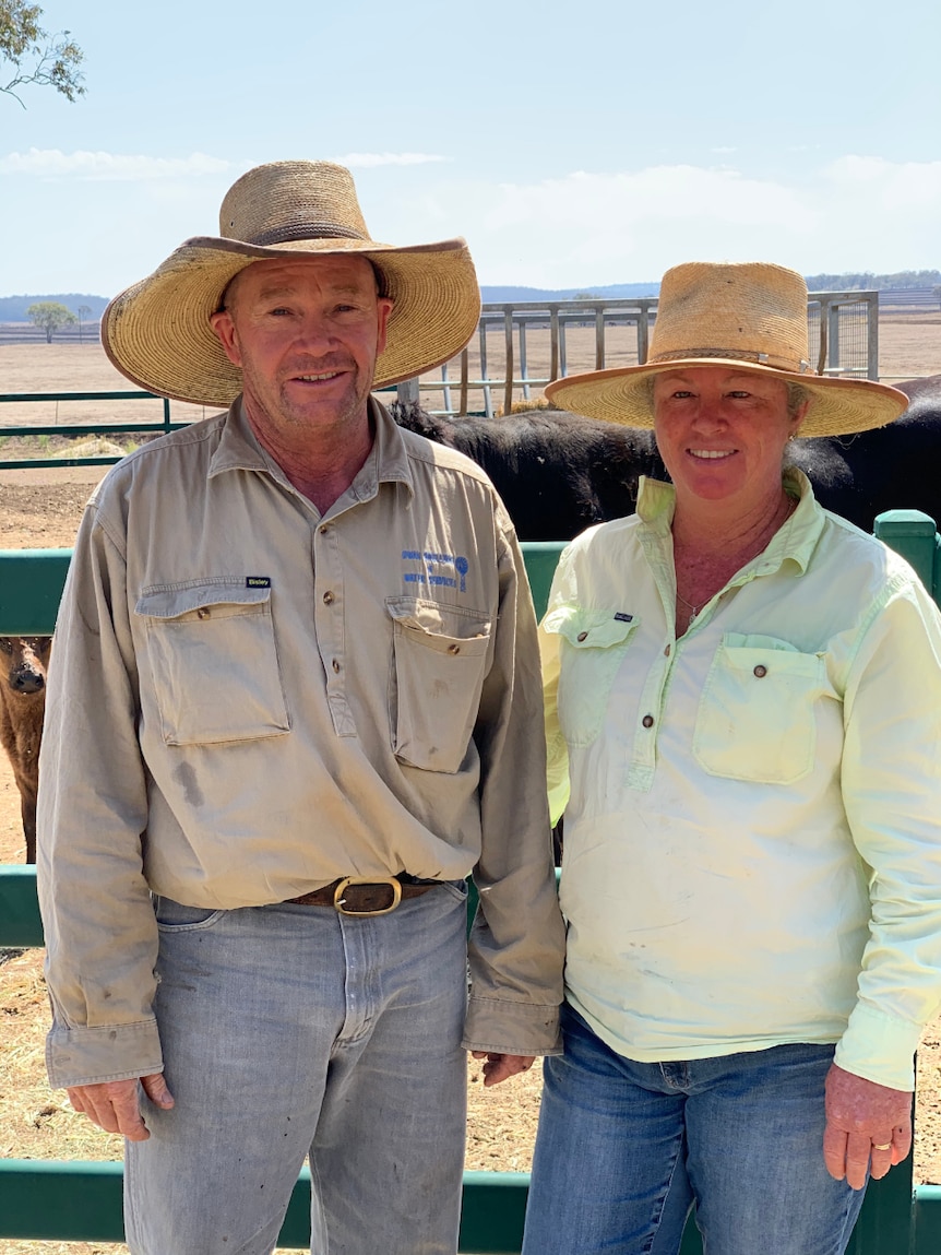 Toni and Michael Dwan in front of a pen of cattle.