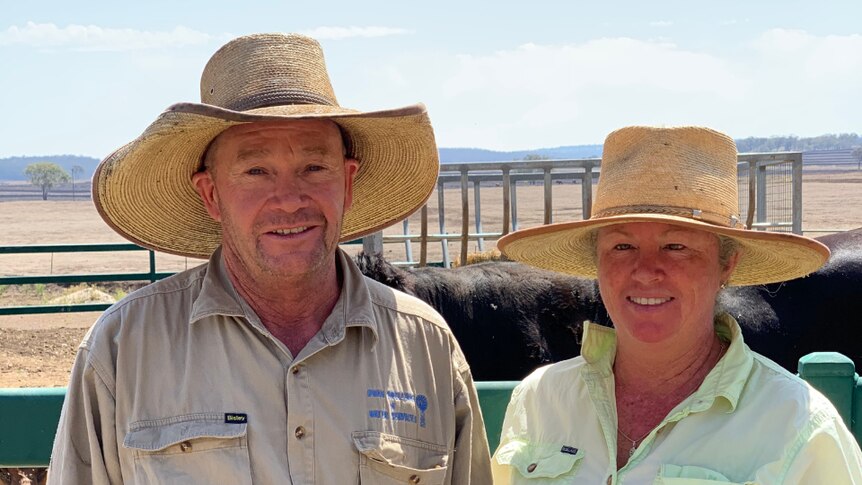 Toni and Michael Dwan in front of a pen of cattle.