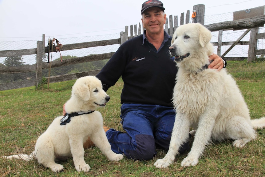 Dog handler Phil Root with the new puppy and Eudy