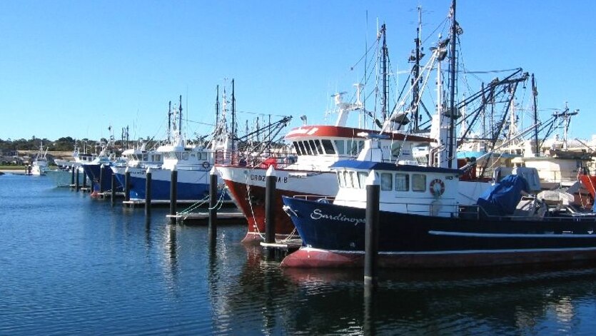 Fishers viability after quota appeals, peak body seeks government help - ABC News