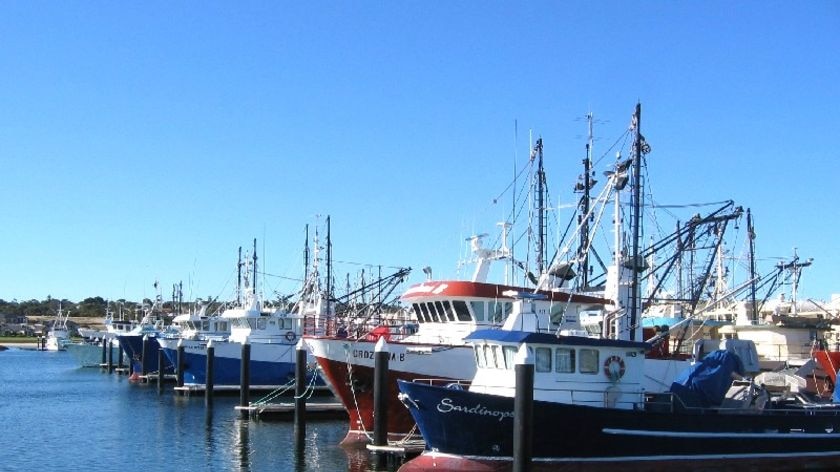 Fishing boats in Port Lincoln marina SA