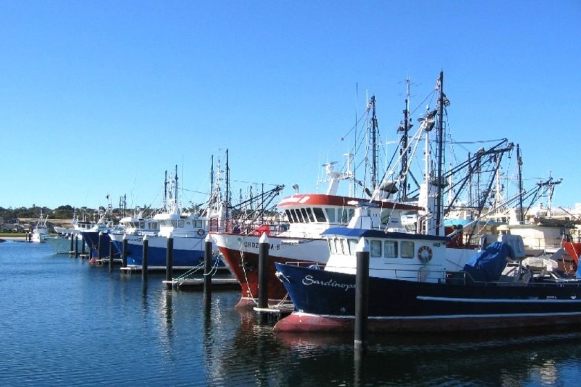 Fishing boats in Port Lincoln marina SA