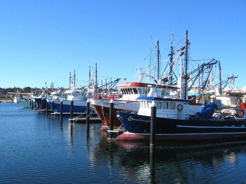 Fishing boats at a wharf.