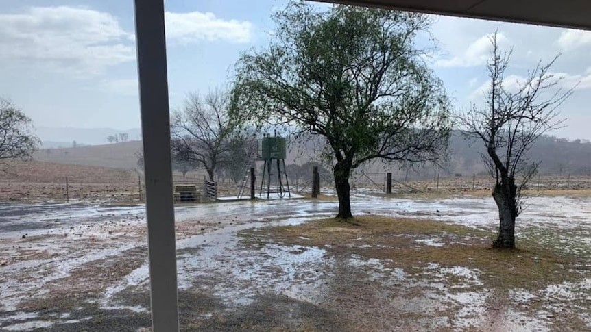 Water drenches a back yard after heavy rain