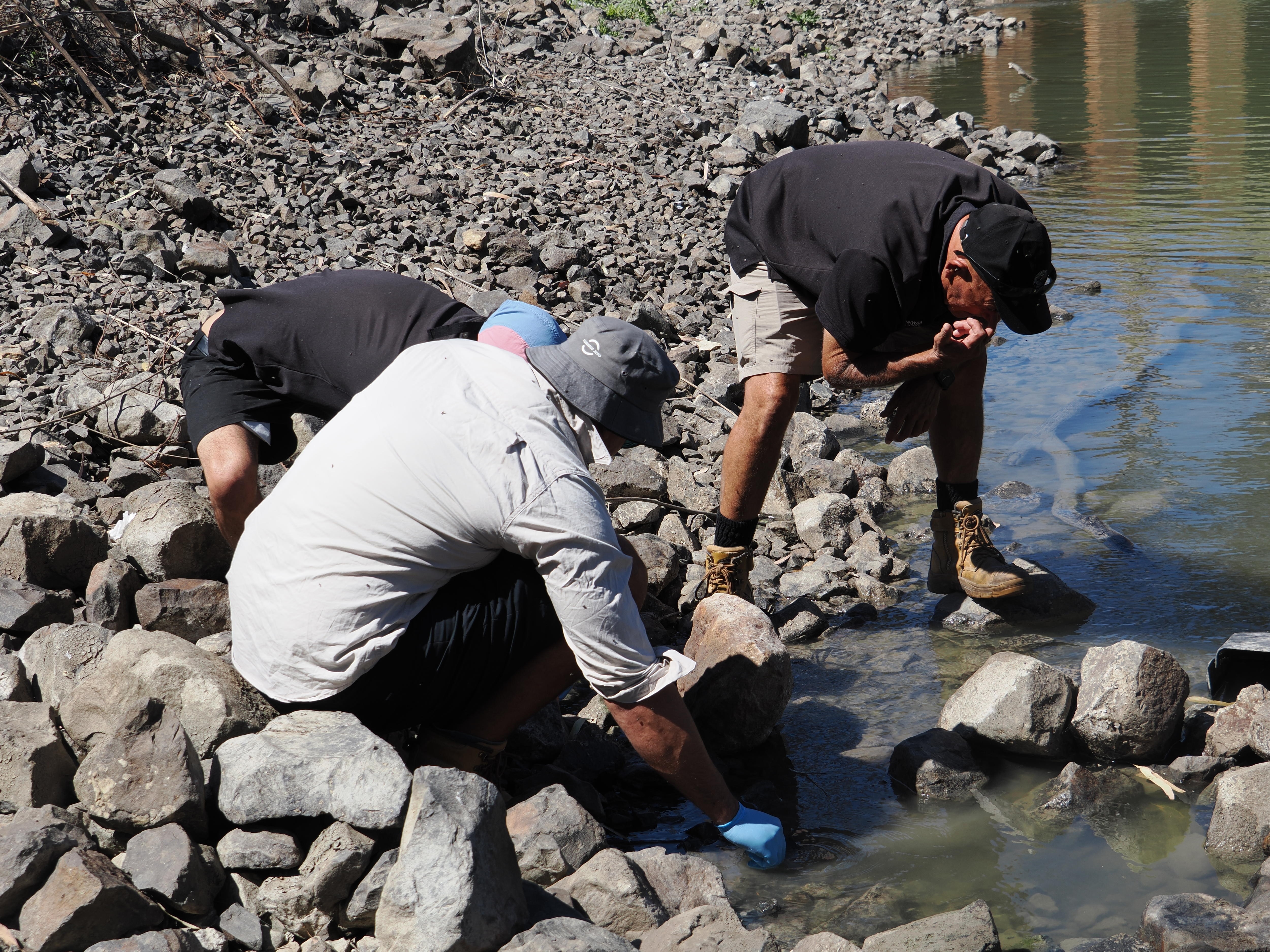 Three men in hats crouch at the edge of a rocky river bank searching in the water