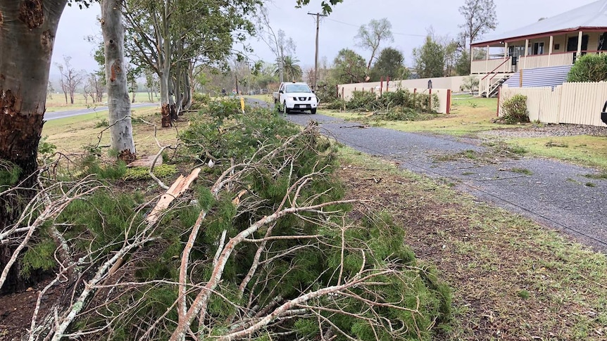 Fallen trees in a street at Tansey, west of Gympie in south-east Queensland after a thunderstorm.