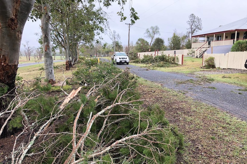 Fallen trees in a street at Tansey, west of Gympie in south-east Queensland after a thunderstorm.