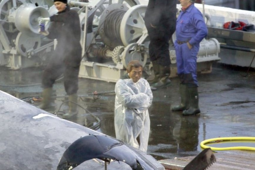 A man inspects the whale carcass while someone else takes a photo.