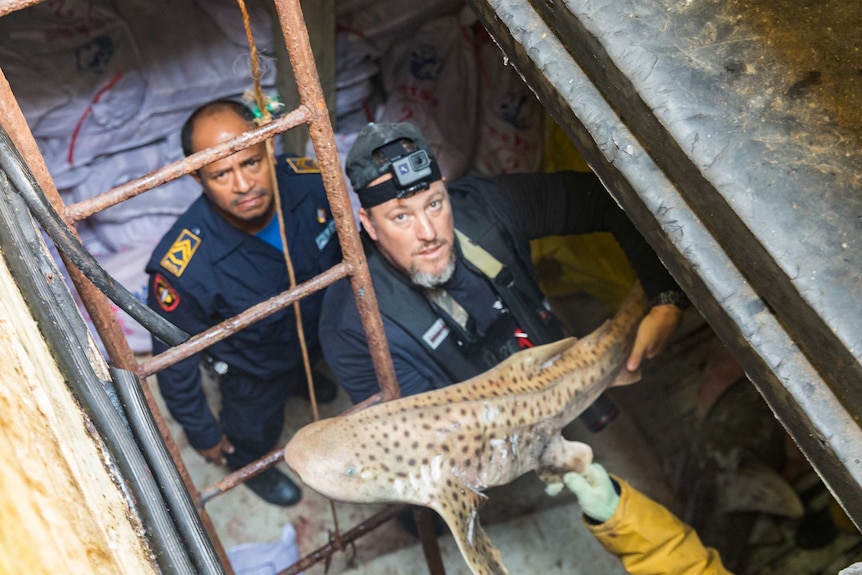 Two men, one holding a leopard shark, look up at the camera.