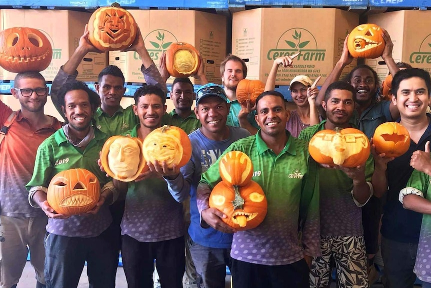 Group of seasonal workers holding up carved Halloween pumpkins in front of Ceres Farm boxes
