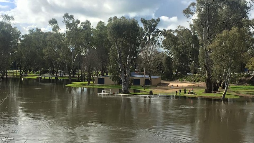 Flooding at Ball Park Caravan Park in Corowa