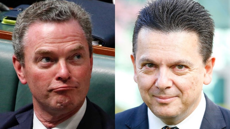 Christopher Pyne sitting in Parliament alongside an image and Nick Xenophon wearing a suit