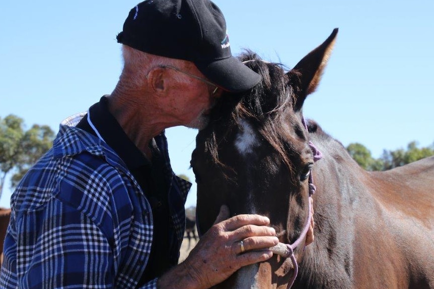 Alan Gent with one of his rescue horses