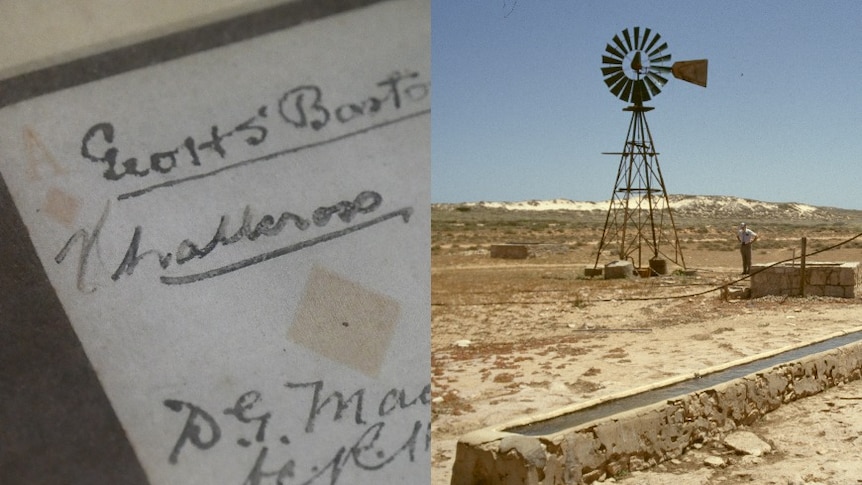 A split image of a faded ace of diamonds with signatures on it, and windmill and water trough on dry country land.