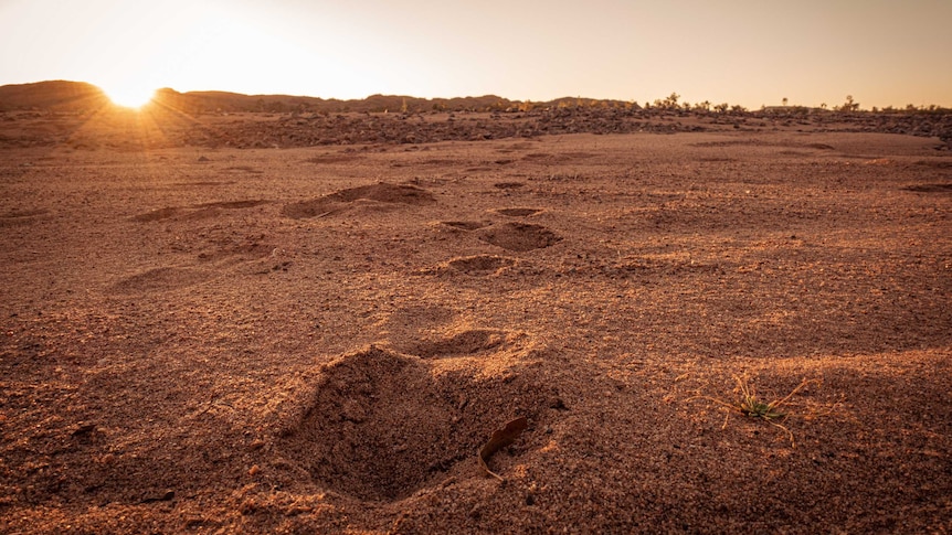 Red sandy earth pictured at sunset with footprints leading into the distance.