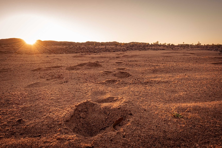 Red sandy earth pictured at sunset with footprints leading into the distance.