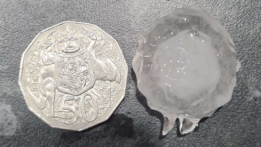 A 50 cent piece sits next to a piece of hail that's around the same size.