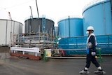 An employee walks past huge white, blue and black storage tanks for contaminated water at the Fukushima plant.