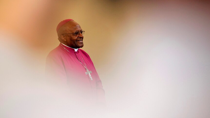 Archbishop Desmond Tutu is seen through crowds wearing dark pink religious robes.