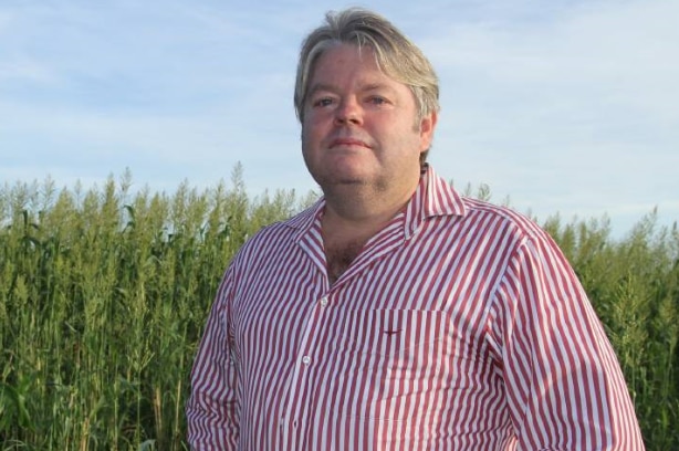 Man standing with hands on hips in field