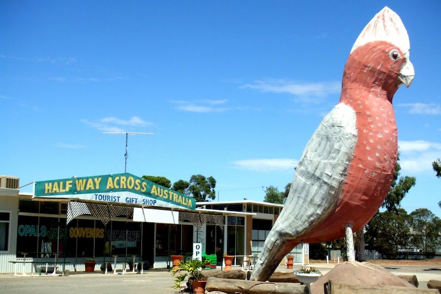 The Big Galah at Kimba on South Australia's Eyre Peninsula.