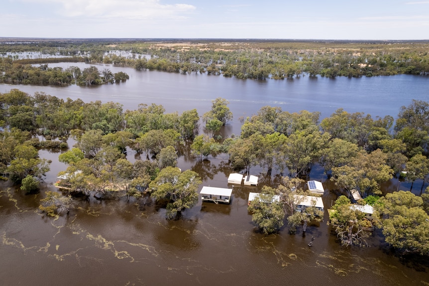 Casas inundadas a lo largo de un río con árboles