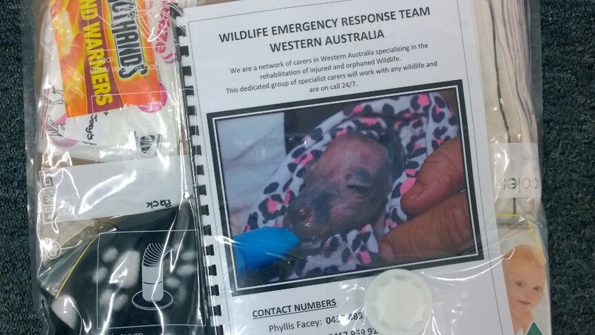 A photo of a wildlife rescue pack, containing blankets, instructions and other useful items.