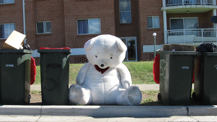 A giant teddy bear sits among the wheely bins at Mt Druitt.