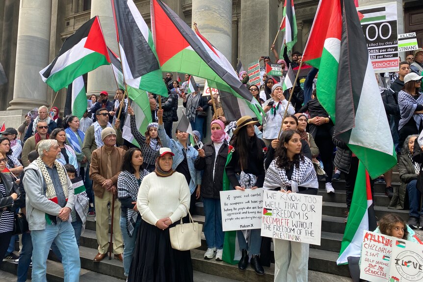 pro-palestinian supporters at a rally in adelaide's city centre
