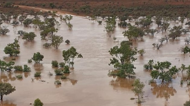 a drone shot of an outback creek in flood.