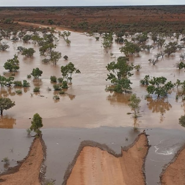 a drone shot of an outback creek in flood.