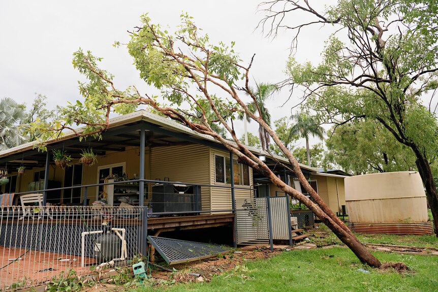 A house has a tree which has fallen on top of it.