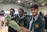 Coolgardie school students hold up cactus and gum leaves they used to distil ethanol.