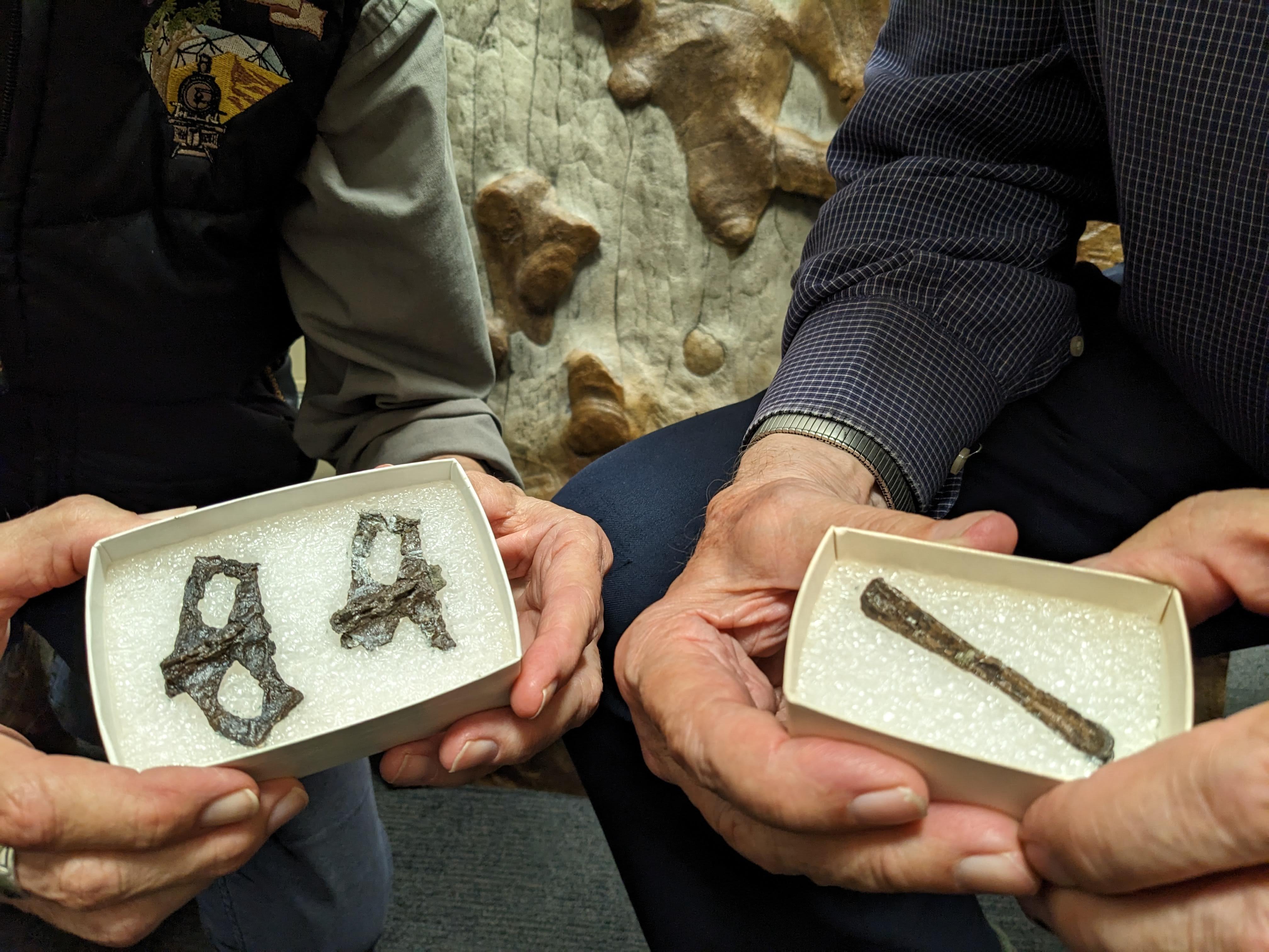 Researchers holding pterosaur bones about 10 centimetres long to show their scale