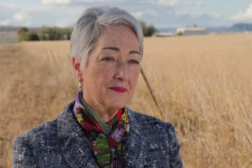 Tracy Dobie stands in a field talking about solar farming and land development near Warwick.