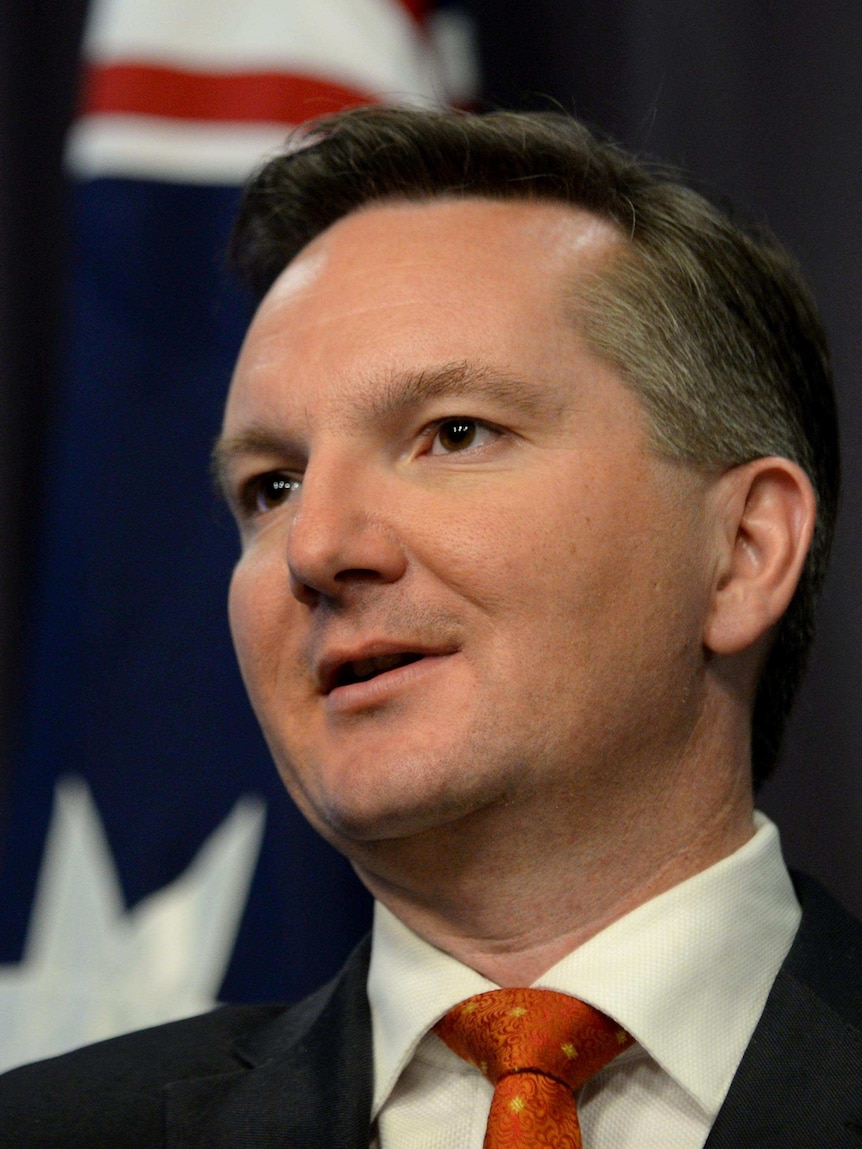 Chris Bowen addresses the media at Parliament House.